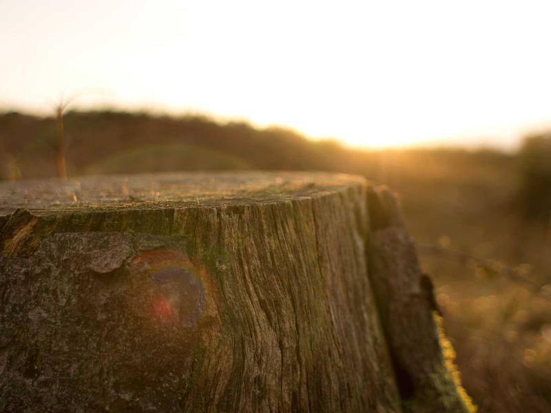 sudoku valid solution