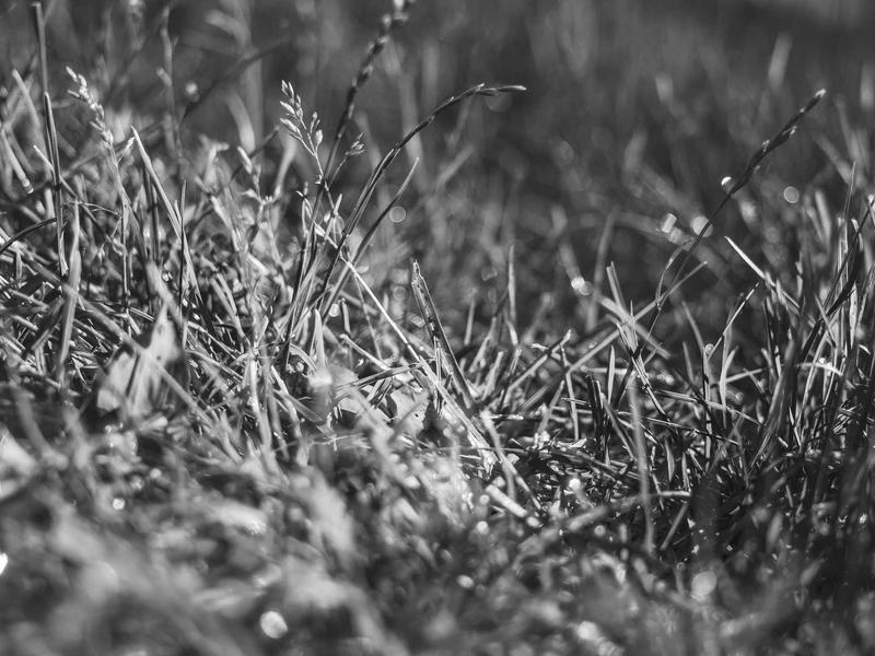 sudoku difficulty levels